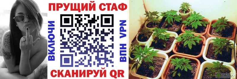 Наркошоп купить Cocaine  Галлюциногенные грибы  Альфа ПВП  Бошки Шишки  Меф мяу мяу  Шарыпово