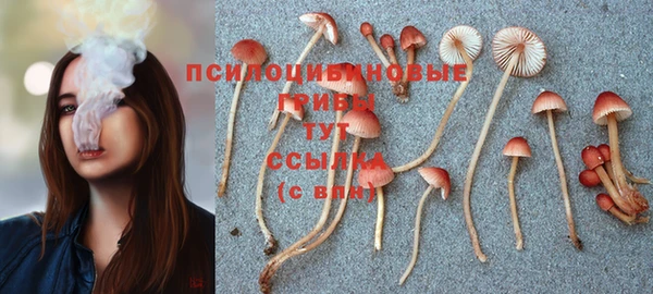 ECSTASY Белокуриха