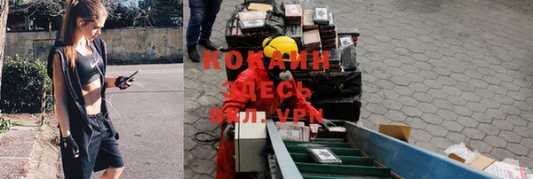 дмт Пестово