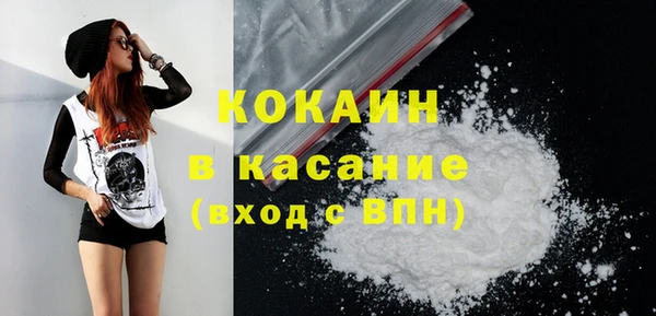 шишки Пересвет
